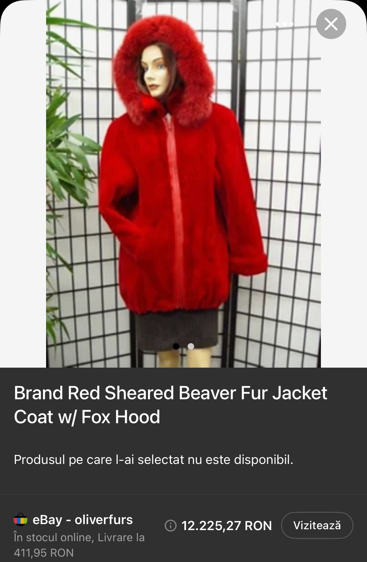 Blană vintage excepționala de Castor canadian tuns - produs ultra luxury