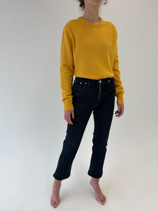 Jeans vintage luxury Trussardi dark wash modelator