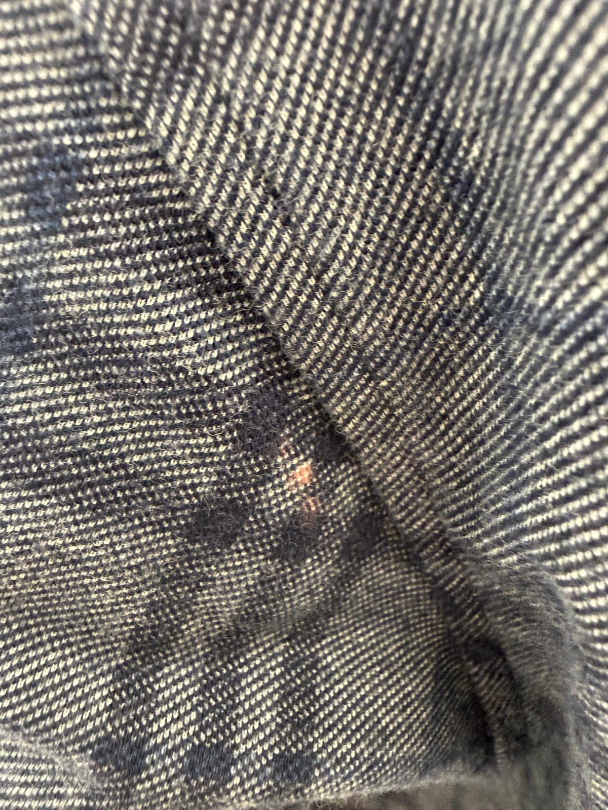 Top polo Burberry din bumbac gros în print specific brandului și nuanțe de jeans blue